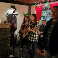 Transient Penguins at Fourpenny Transient Penguins at Fourpenny