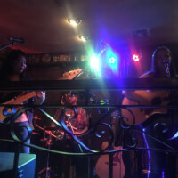Transient Penguins at Hooley's. Transient Penguins at Hooley's.