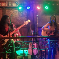 Transient Penguins at Hooley's. Transient Penguins at Hooley's.